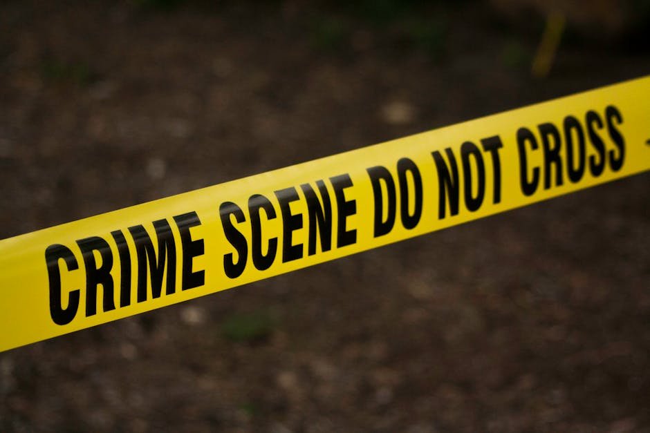 crime 923681