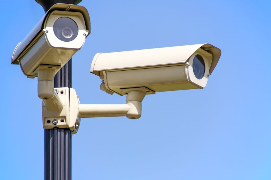 Scurgere masiva de date la agentia americana de securitate cibernetica: Congresul cere explicatii